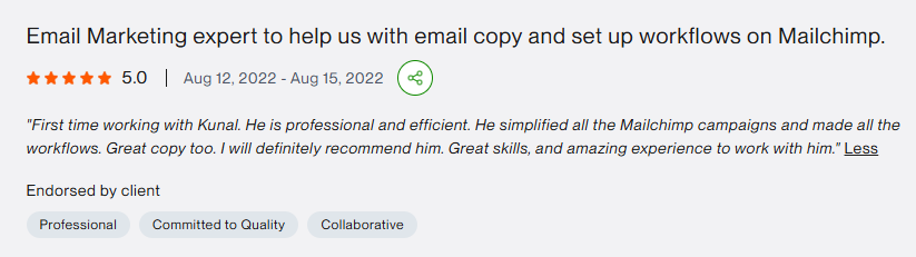 Upwork review: professional and efficient, simplified all the Mailchimp campaigns, great copy too